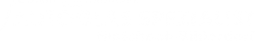 Logo AGS GmbH