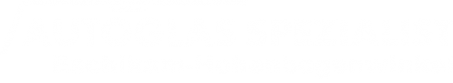 Logo Autoglas Spezialist in Eschlkam-Hohenbogenwinkel