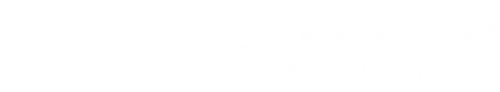 Logo AGS GmbH