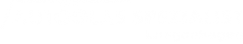 Logo AGS GmbH