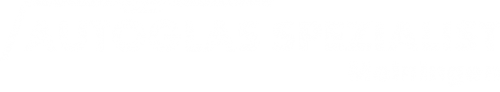 Logo AGS GmbH