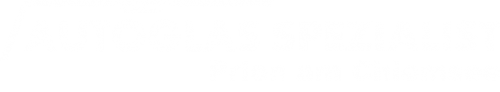 Logo AGS GmbH