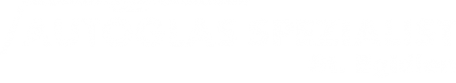 Logo AGS GmbH