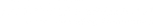 Logo Autoglas Spezialist in Unterhaindlfing